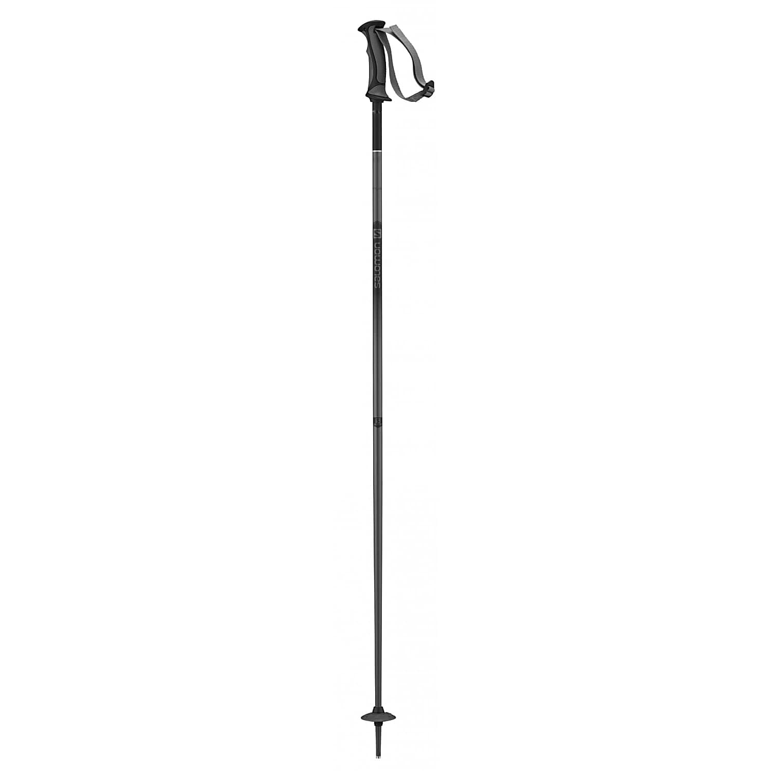 salomon arctic poles