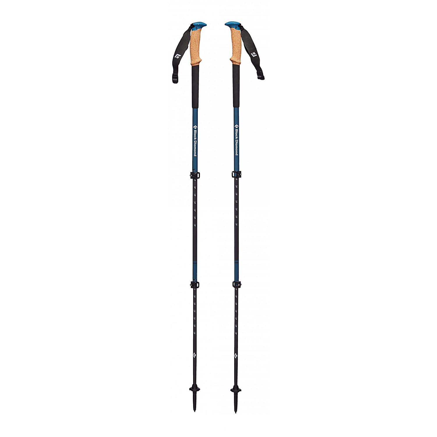 carbon whippet ski pole