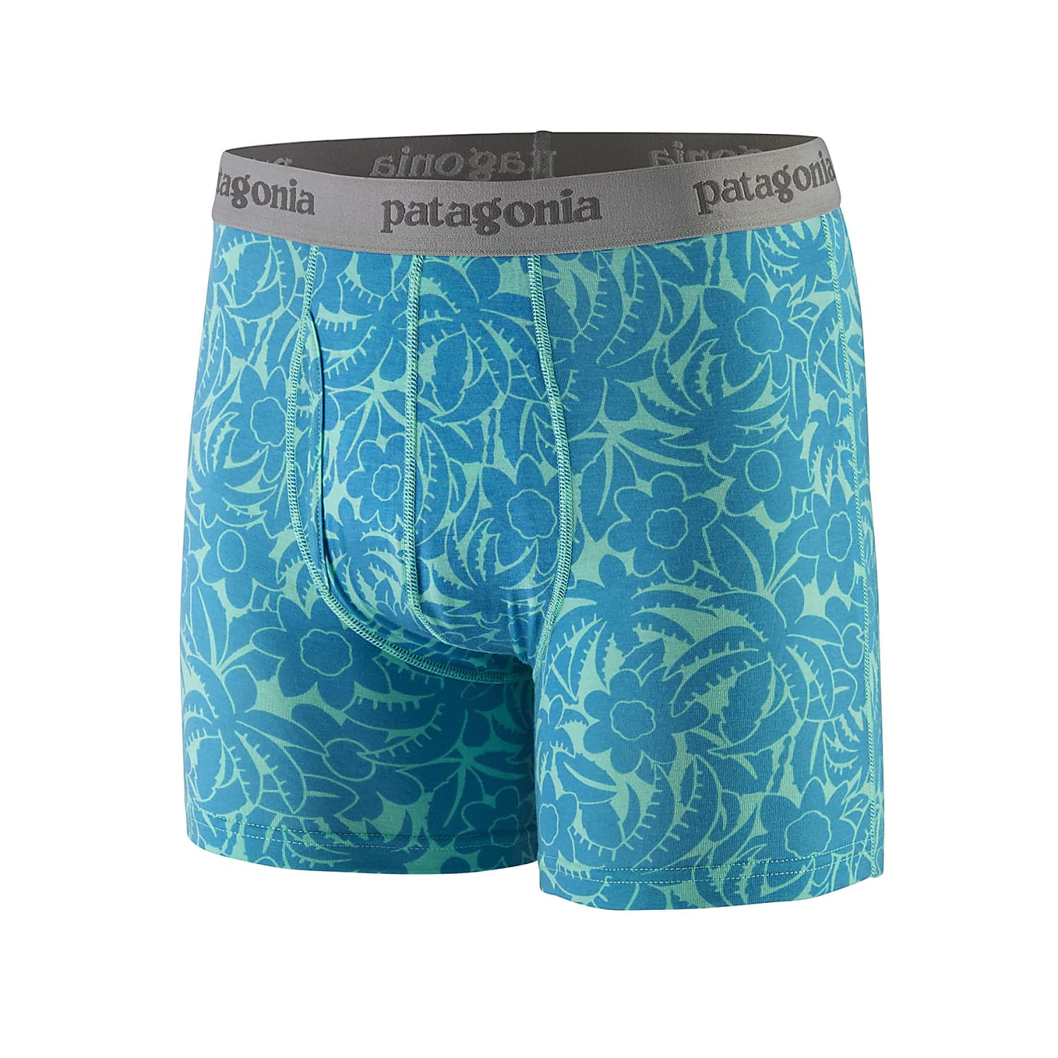 Patagonia M ESSENTIAL BOXERS BRIEFS 3, Abundance - Early Teal - Fast and  cheap shipping 