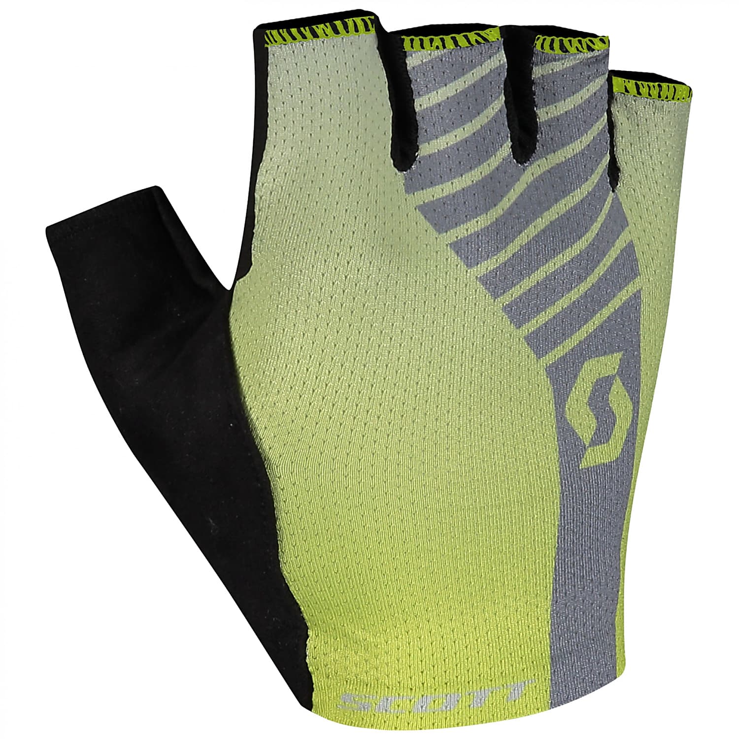 Scott 2025 aspect yellow