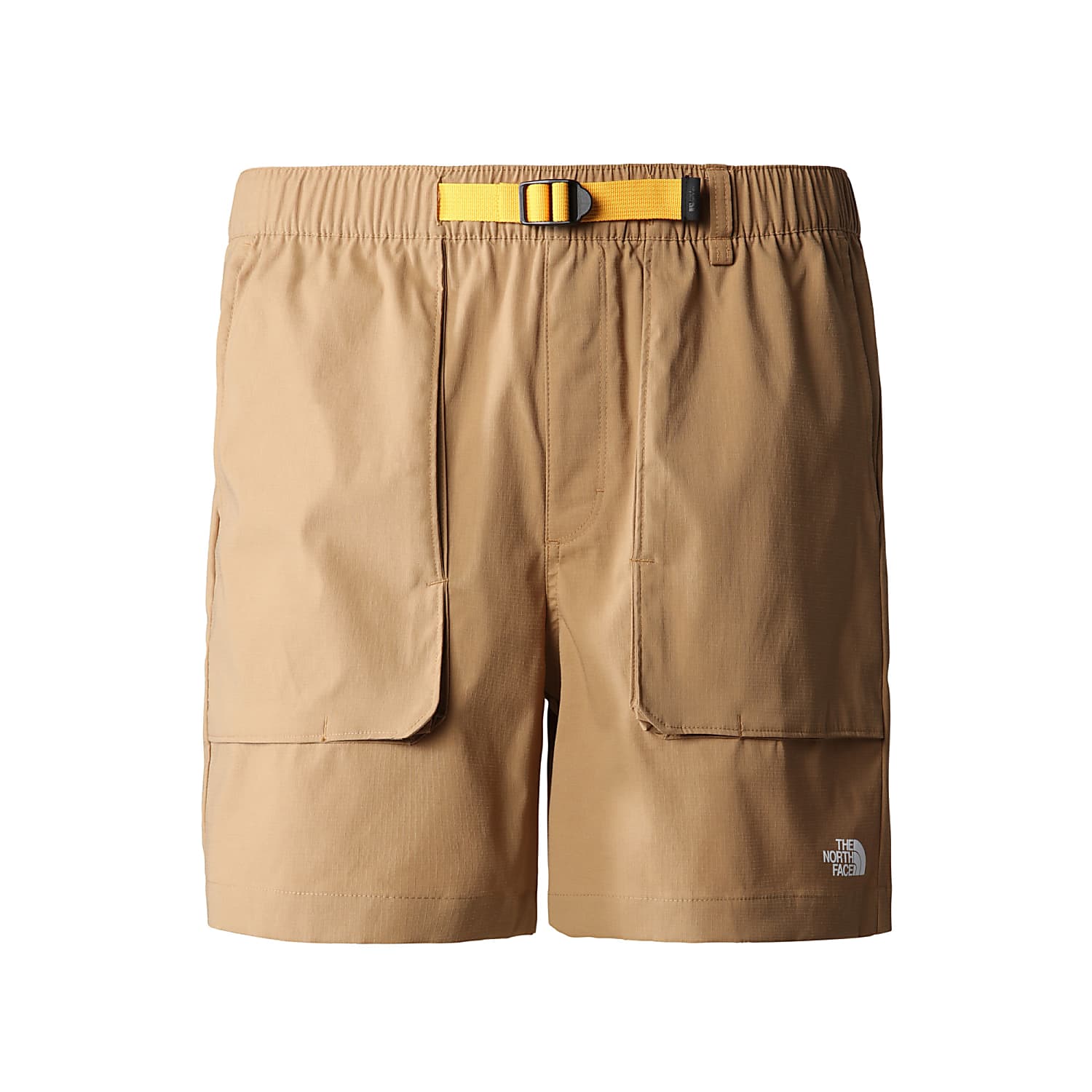 North face mens shorts clearance hot sale