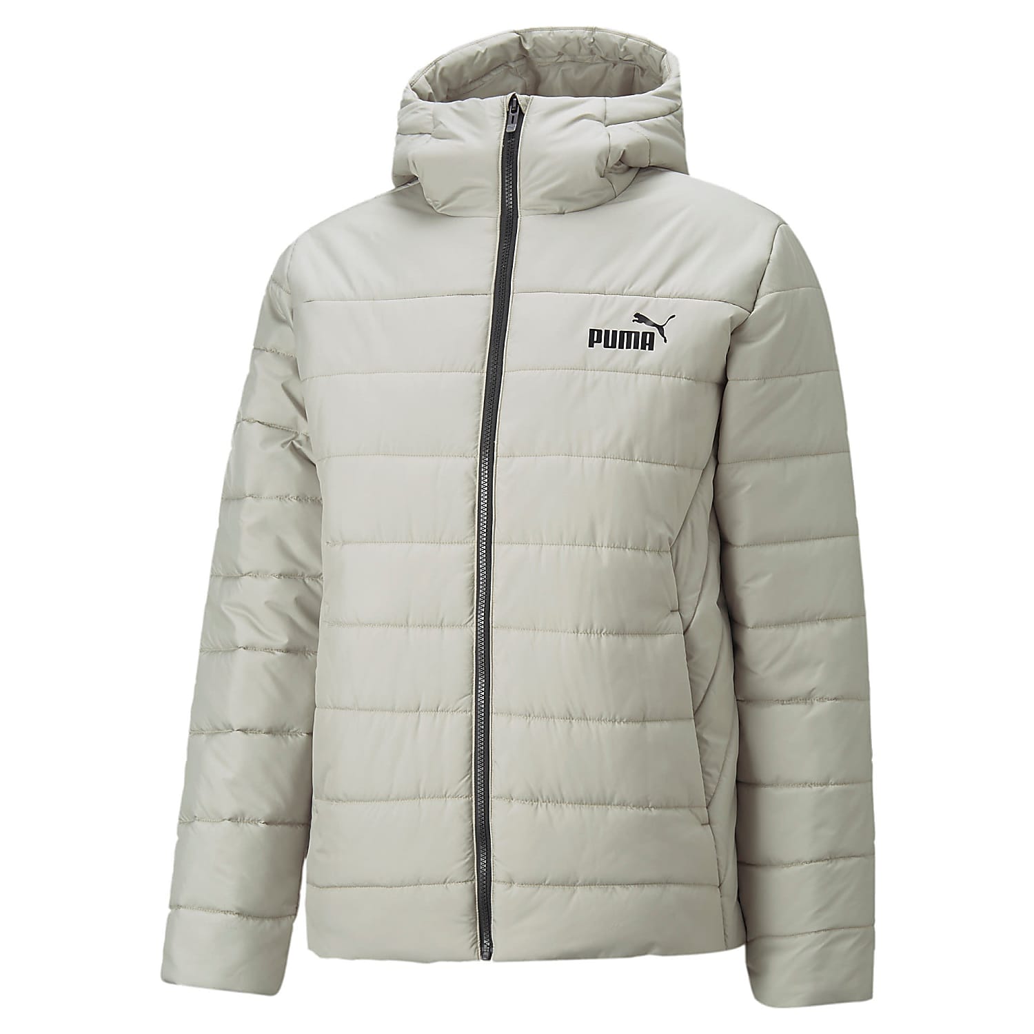 Puma M ESSENTIALS HOODED PADDED JACKET Pebble Gray Fast and