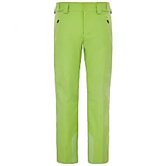 The North Face M RAVINA PANT, Chive Green
