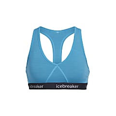Icebreaker Bra Size Chart