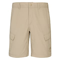 men's the north face cargo shorts