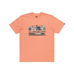 Quiksilver M TROPICAL RAINBOW SS, Canyon Clay
