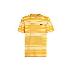 ONeill M MIX AND MATCH STRIPE T-SHIRT, Yellow Bold Stripes