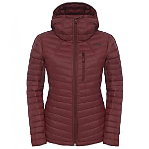 premonition jacket north face