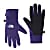 The North Face W ETIP GLOVE (STYLE SUMMER 2018), Garnet Purple - Surf Green