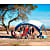 Coleman FASTPITCH SHELTER XL, White