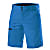 Löffler M SHORTS CSL, Blue Lake