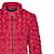 Almgwand W LERCHKOGEL, Red