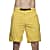 Houdini M CRUX SHORTS, Yellow Pages - Season 2016