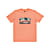 Quiksilver M TROPICAL RAINBOW SS, Canyon Clay