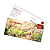 eXXpozed VOUCHER 20 EURO, Running