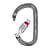 Petzl AM'D SCREW-LOCK, Grau