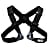Petzl VOLTIGE, Schwarz