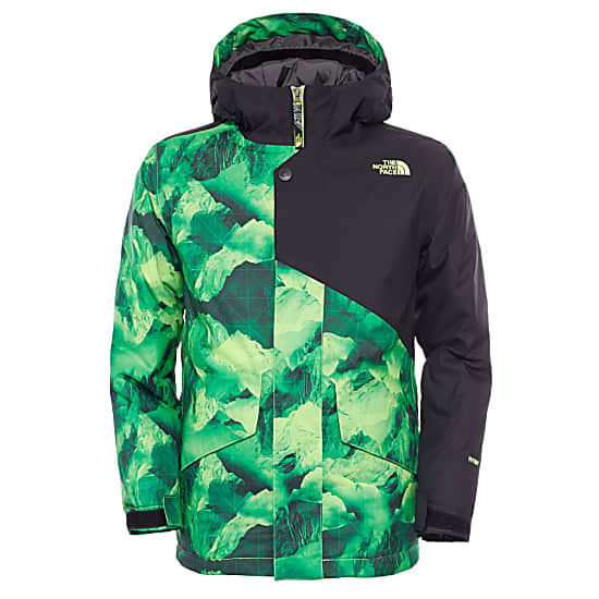 north face jacket mountain print