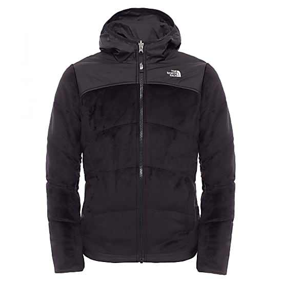north face perseus