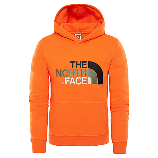 the north face children's youth drew peak hoodie