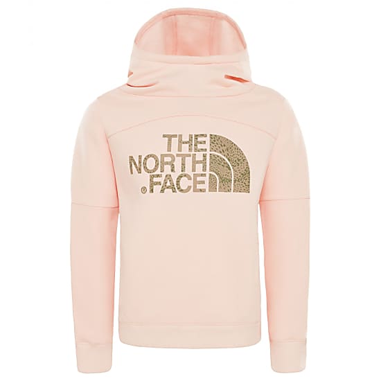 pink north face jumper