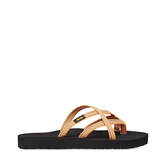 teva sunflower