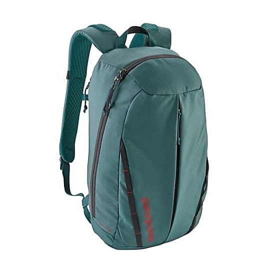 teal patagonia backpack