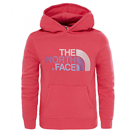 the north face children's youth drew peak hoodie