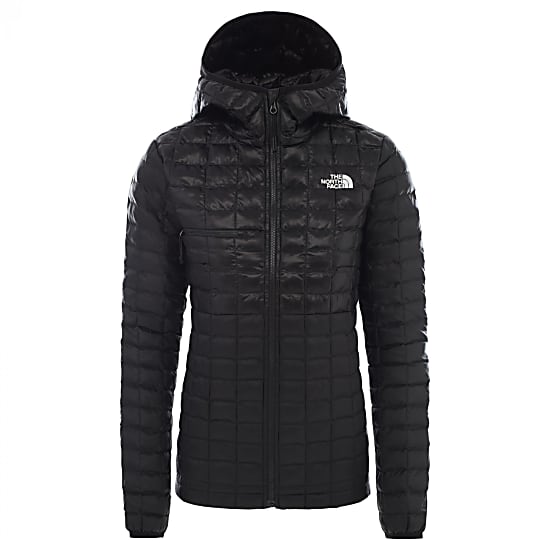 north face alpine hoodie