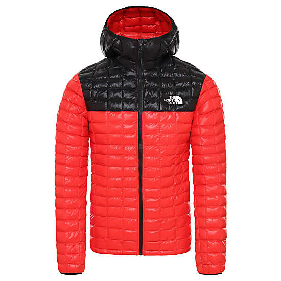 red and black north face coat