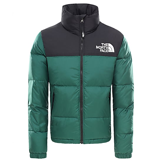 blue and green north face jacket