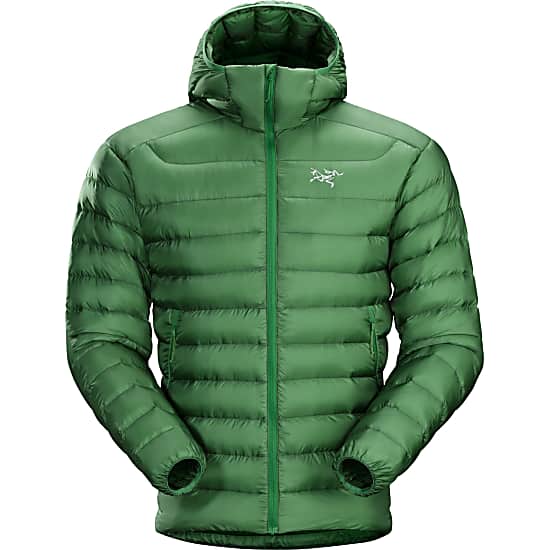 arcteryx cerium lt hoody green
