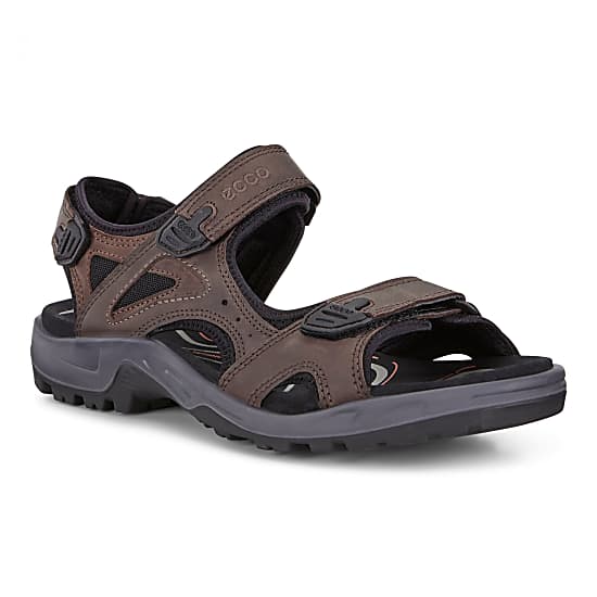 wees stil Inwoner College Ecco M OFFROAD SANDAL 3S POC, Espresso - Cocoa Brown - Free Shipping starts  at 60£ - www.exxpozed.eu