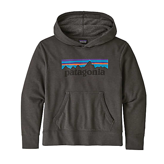 Patagonia KIDS LIGHTWEIGHT GRAPHIC HOODY SWEATSHIRT, P-6 Label - Forge Grey