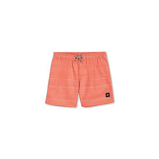 ONeill BOYS MIX AND MATCH CALI FIRST 13'' SWIM SHORTS, Living Coral First Name Stripe