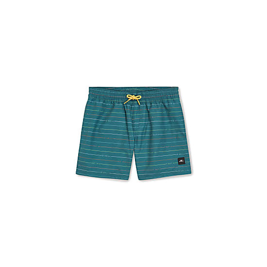 ONeill BOYS MIX AND MATCH CALI FIRST 13'' SWIM SHORTS, Lily Pad First Name Stripe