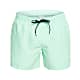 Quiksilver M EVERYDAY VOLLEY 15, Beach Glass