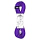 Beal WALL MASTER UNICORE 10.5MM 20M, Violet