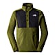 The North Face M HOMESAFE SNAP NECK FLEECE PULLOVER, Forest Olive - TNF Black