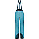 Scott W EXPLORAIR 3L PANTS (PREVIOUS MODEL), Bright Blue