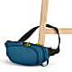 Pacsafe ECO WAIST PACK, Econyl Tidal Teal