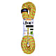 Beal BOOSTER III UNICORE 9.7MM 50M DRY COVER, Anis