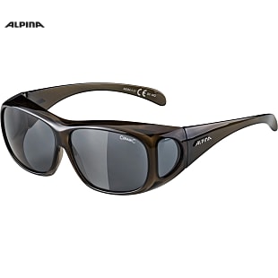 Alpina OVERVIEW, Black Transparent - Black