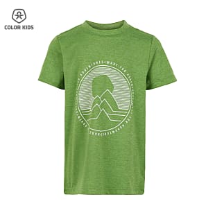 Color Kids BOYS T-SHIRT WITH PRINT S/S, Peridot