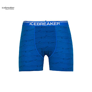 Icebreaker M ANATOMICA BOXERS, Lazurite - Midnight Navy - AOP