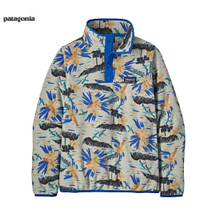 Patagonia W MICRO D SNAP-T PULLOVER, Pitch Blue