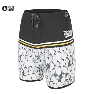 Picture M ANDY 17 BOARDSHORTS, Pinguins - Kollektion 2021