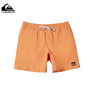 Quiksilver BOYS EVERYDAY SOLID VOLLEY, Green Gecko