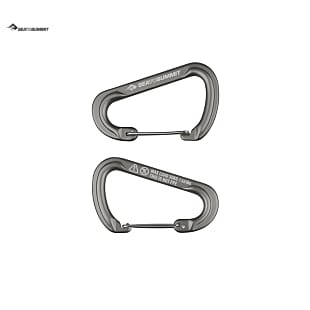 Sea to Summit ACCESSORY CARABINER LARGE 2 PIECES, Grey