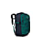 Osprey DAYLITE CARRY-ON TRAVEL PACK 44, Night Arches Green